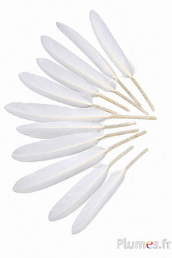 Gans - 10-15 cm - wit-creme